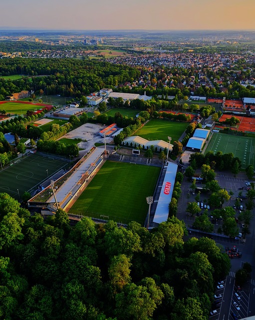 的洞察力 的洞察力