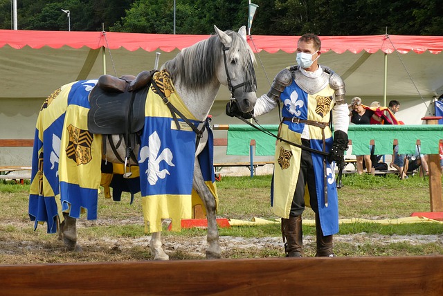 的香饽饽 的香饽饽