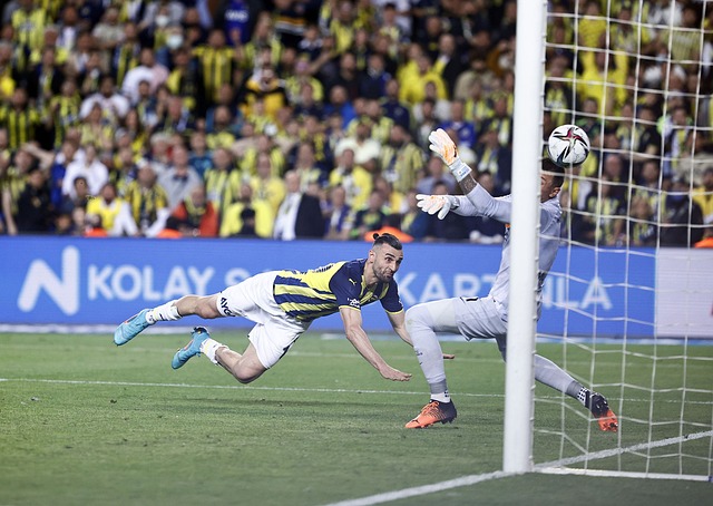 己能夠打無 己能夠打無